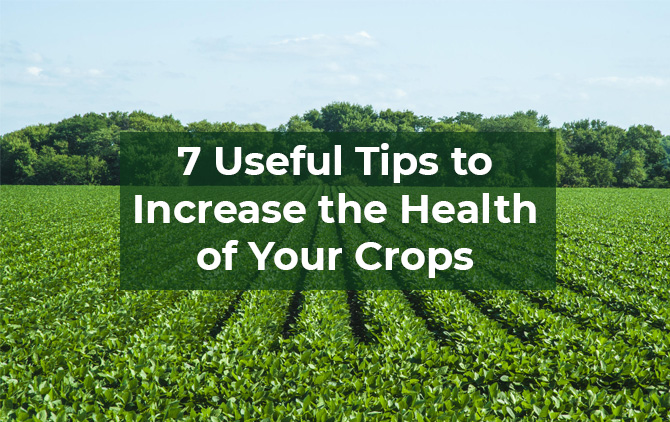 7 Useful Tips to Increase the Health of Your Crops
