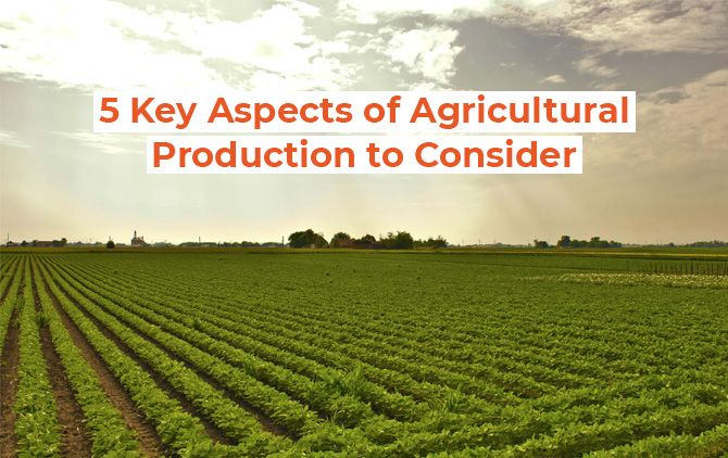 5 Key Aspects of Agricultural Production to Consider